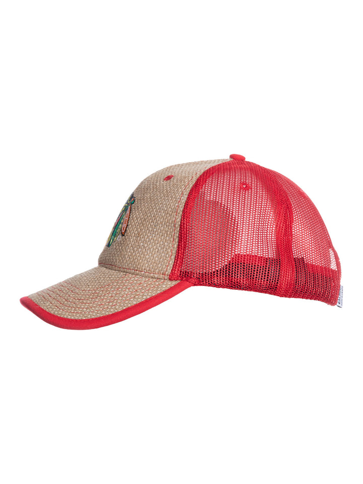 NHL Chicago Blackhawks Baseball hat