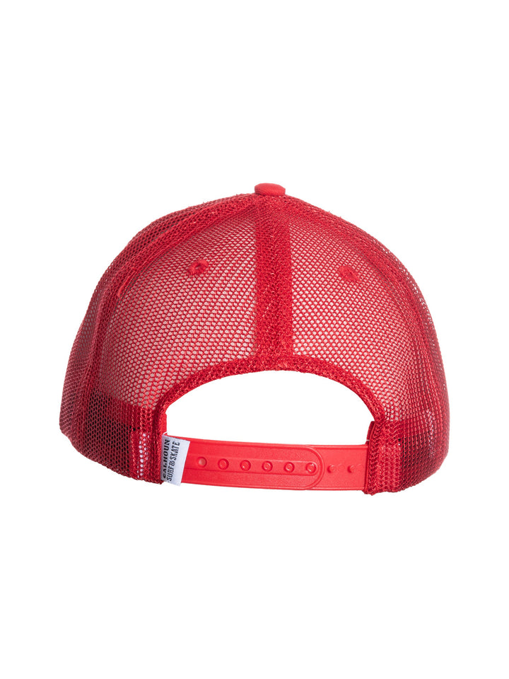 NHL Detroit Red Wings Baseball hat