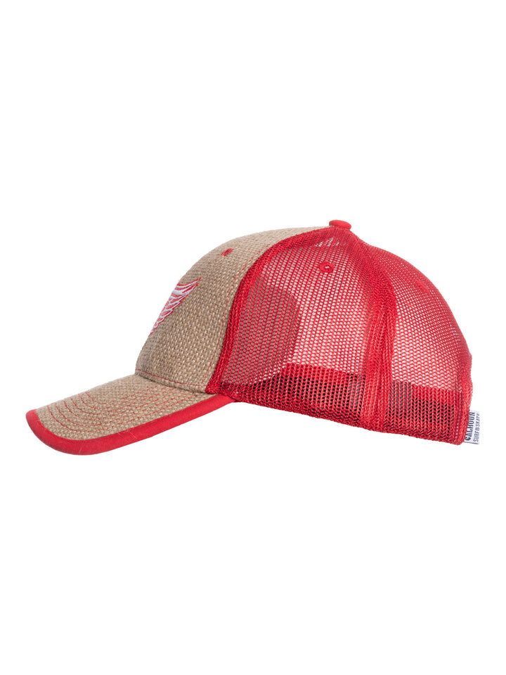 NHL Detroit Red Wings Baseball hat