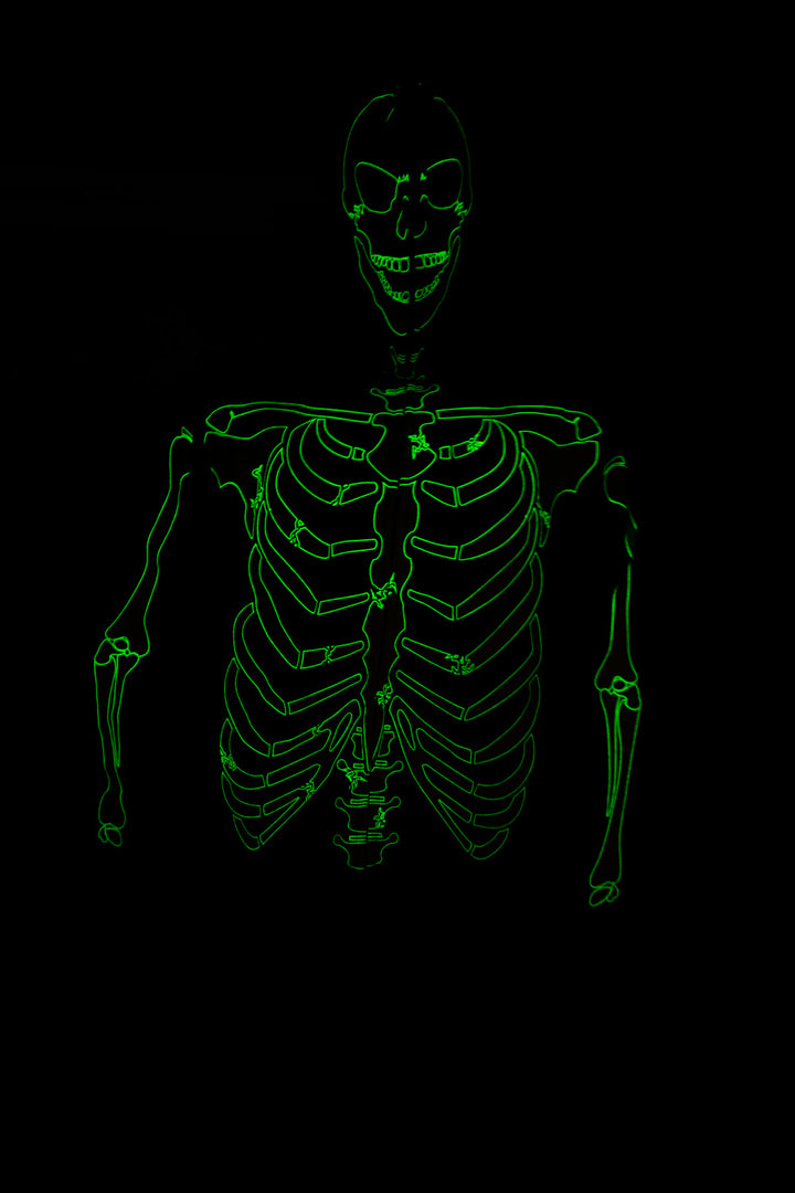 Glow in the Dark Skeleton Hoodie - Full Zip Hooded Costume