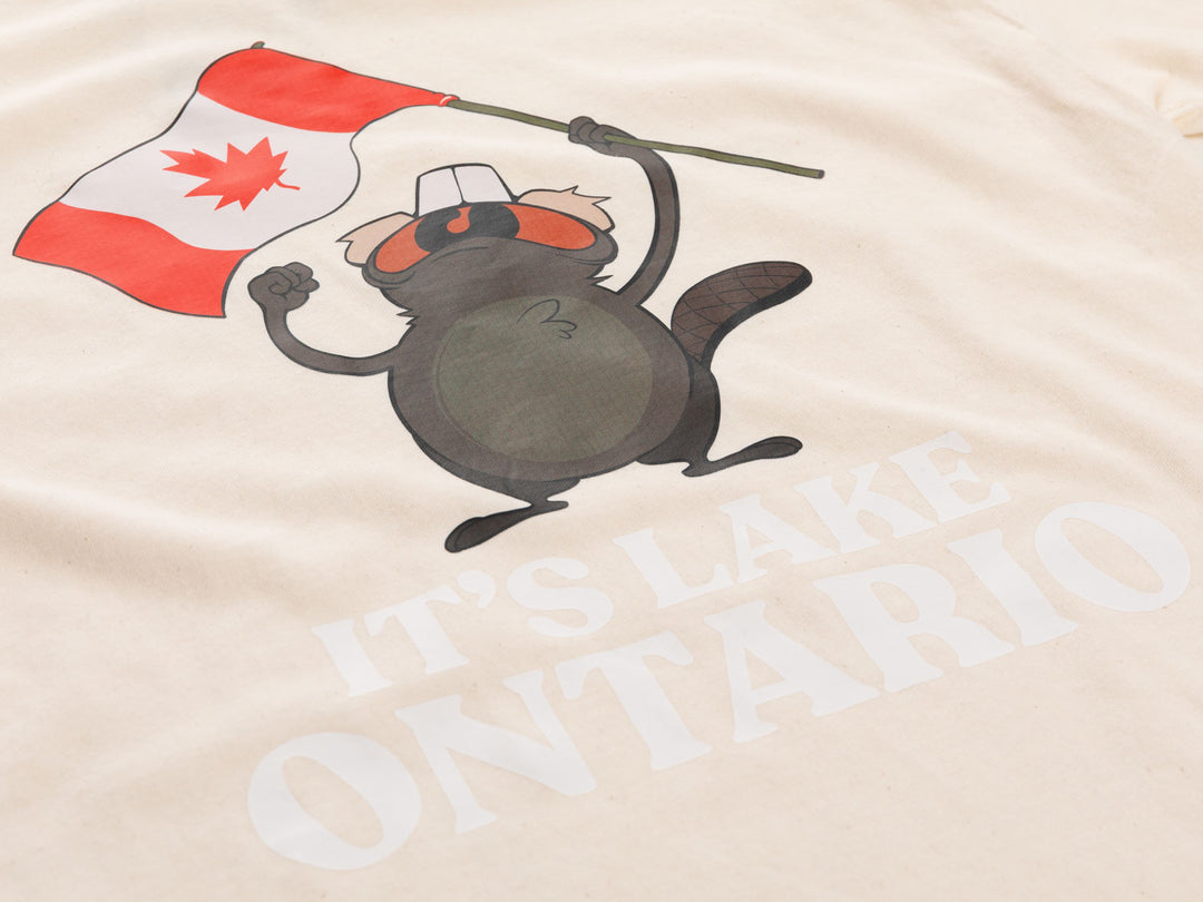 It's Lake Ontario novelty t-shirt