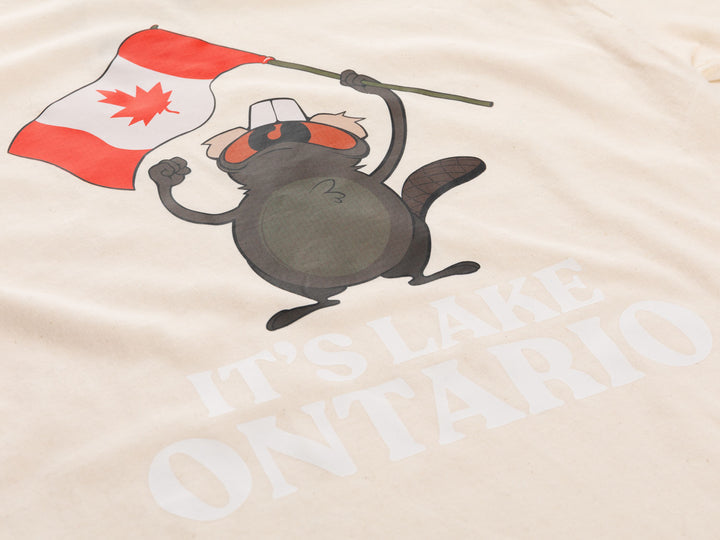 It's Lake Ontario novelty t-shirt