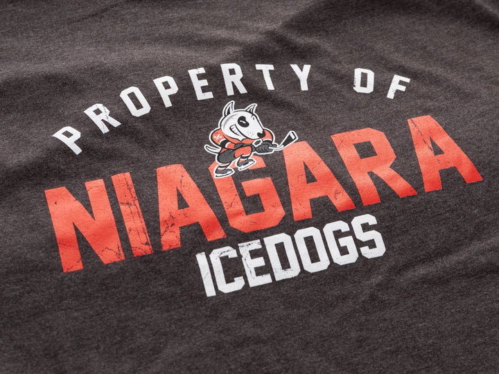 Property of Niagara IceDogs T-shirt