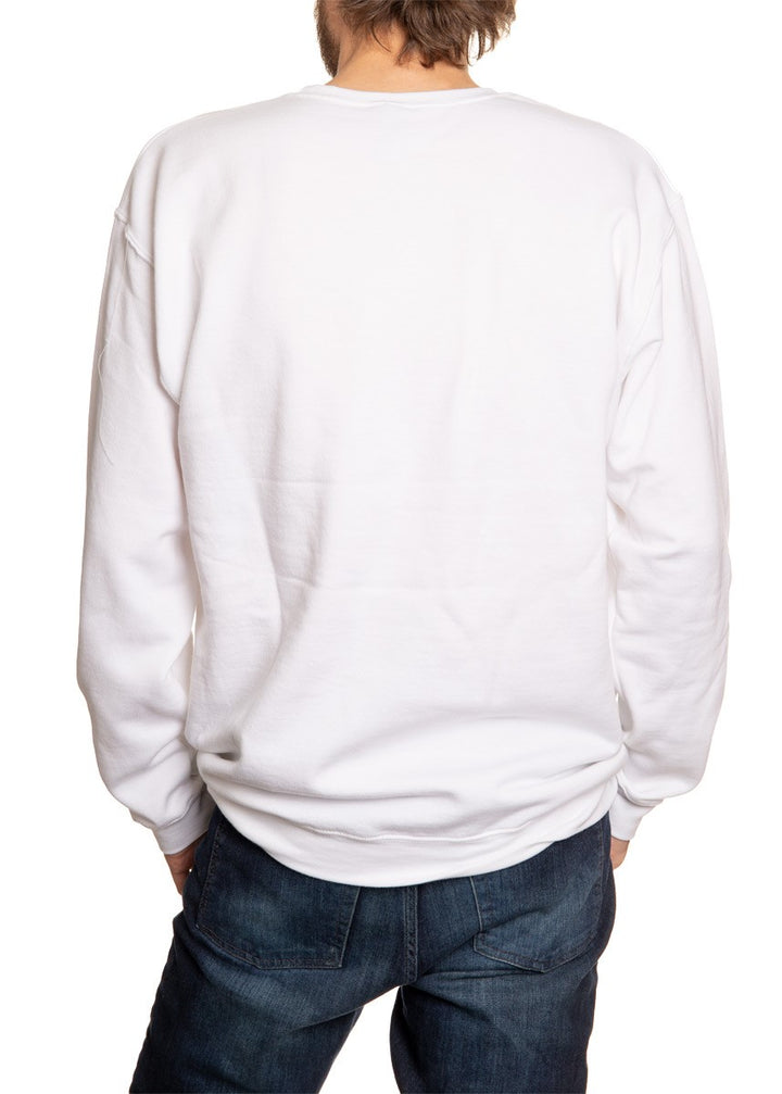 NASA Unisex Stripe Meatball Logo Crew Neck Sweater Back