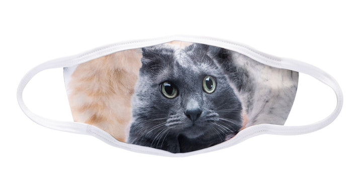 Assorted Cat Mask, Grey Cat Shown. White Trim on Masks.